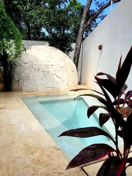 Near Beach+Jungle Views. King Bed+220 Megs+2 Bikes Tulum Mexiko