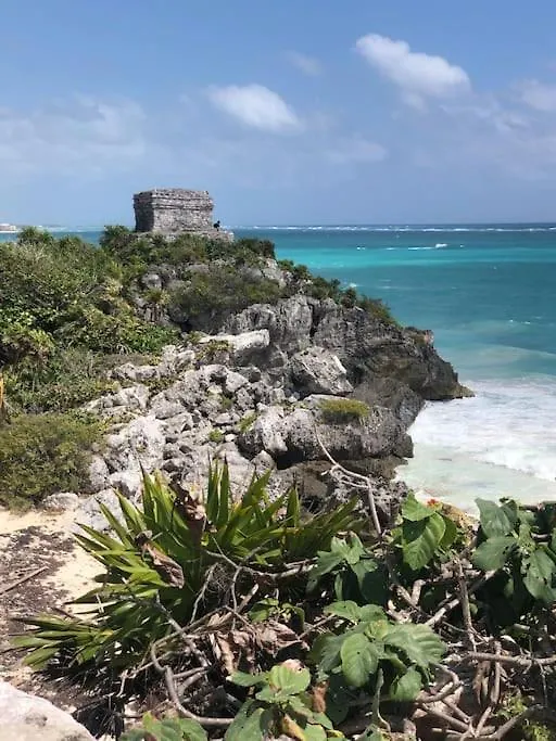 Near Beach+Jungle Views. King Bed+220 Megs+2 Bikes Tulum 0*,  Mexiko